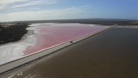 Aerial-Drone-view-of-the-pink-Lake-MacDonnell,-Eyre-Peninsula,-South-Australia