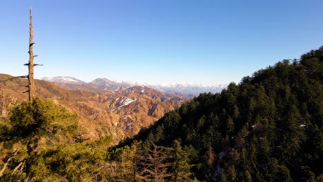 Aerial-Reveal-Shot-over-Snow-Capped-Angeles-National-Forest