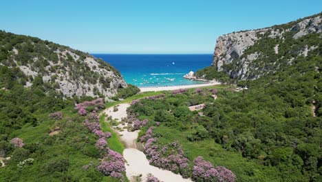 Playa-De-Cala-Luna-En-La-Costa-De-Baunei-De-Cerdeña,-Italia---Pedestal-Aéreo-4k-Arriba