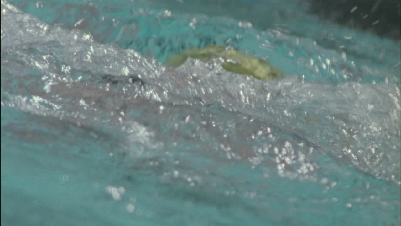 un nadador sale del agua