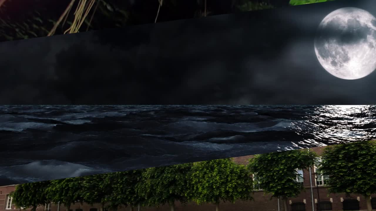 Scottish Highlands Landscape and Forest