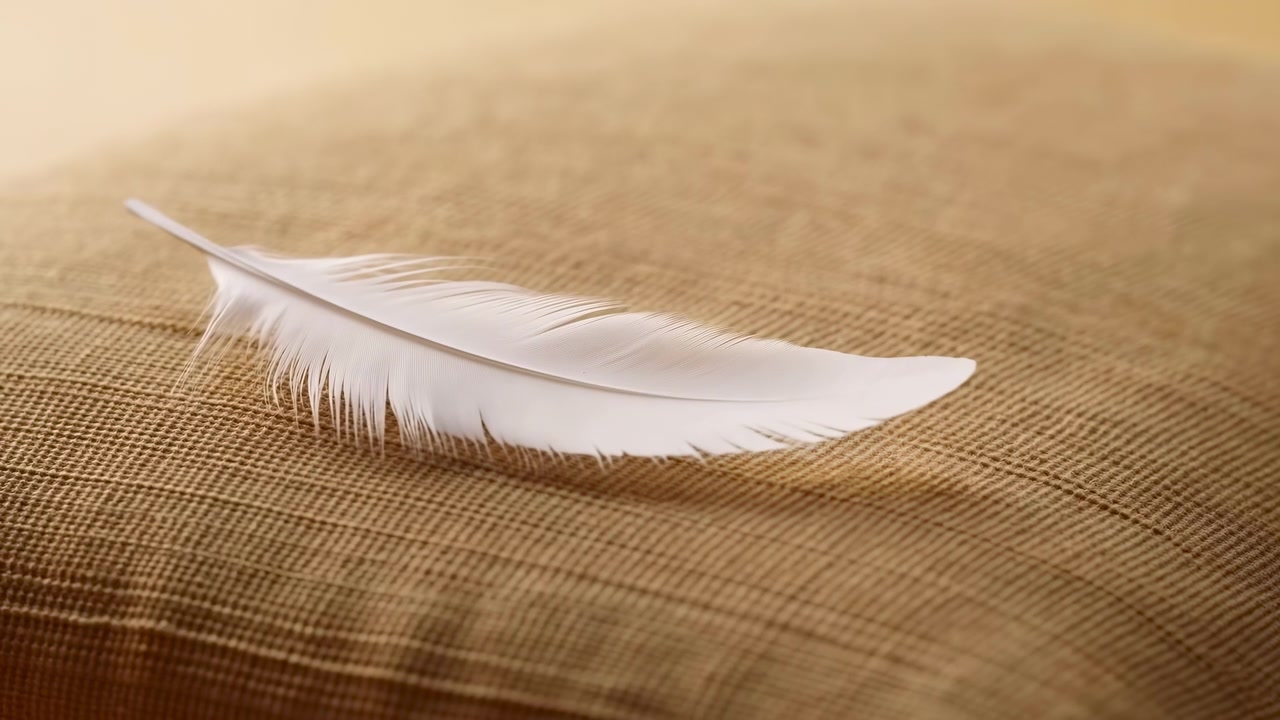 Enkelt hvid fjer ligger diagonalt hen over groft vævet beige stof, forbliver stille under varmt diffust lys, med glat skaft, tilspidset spids, bløde fjerstråler, let flossning og stærk taktil detalje.