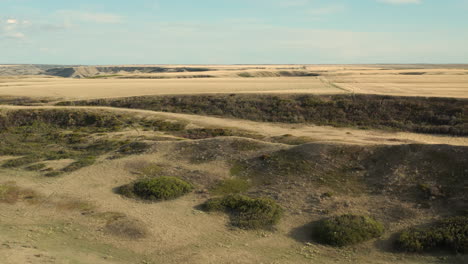 Fleeing-deer-running-away-in-river-breaks,-Saskatchewan,-Canada