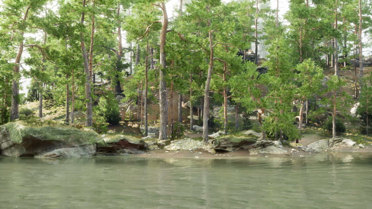 평화로운 숲 호수 장면