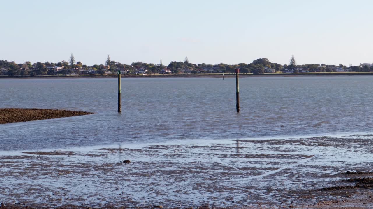 una toma de mano de dos postes en el agua en una bahía en la ciudad de auckland, nueva zelanda, en una tarde tranquila con cielos despejados