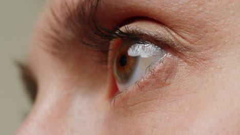primer plano del ojo de una mujer.