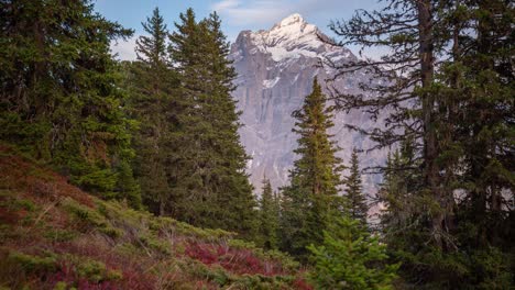 lapso de tiempo del monte wetterhorn rodeado por un místico bosque colorido de otoño