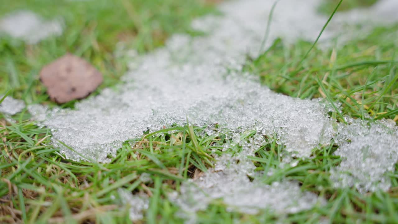 Macro shot of shiny melting snow particles with green grass and leaves