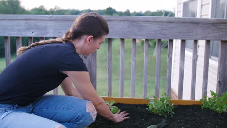 young woman planting brussel sprouts