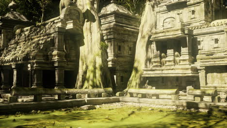 ancient temple ruins in a lush jungle