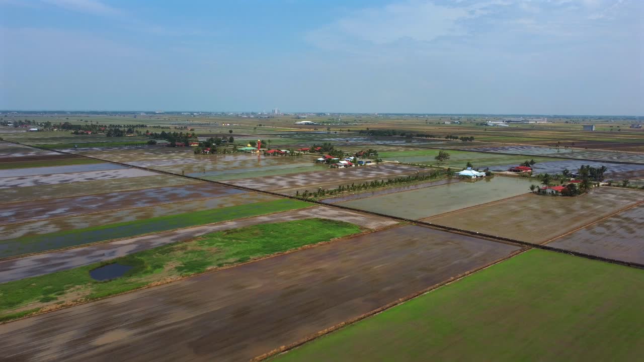 Sawah hijau dengan beberapa petak sawah yang tergenang air, rekaman udara mundur dengan langit biru.