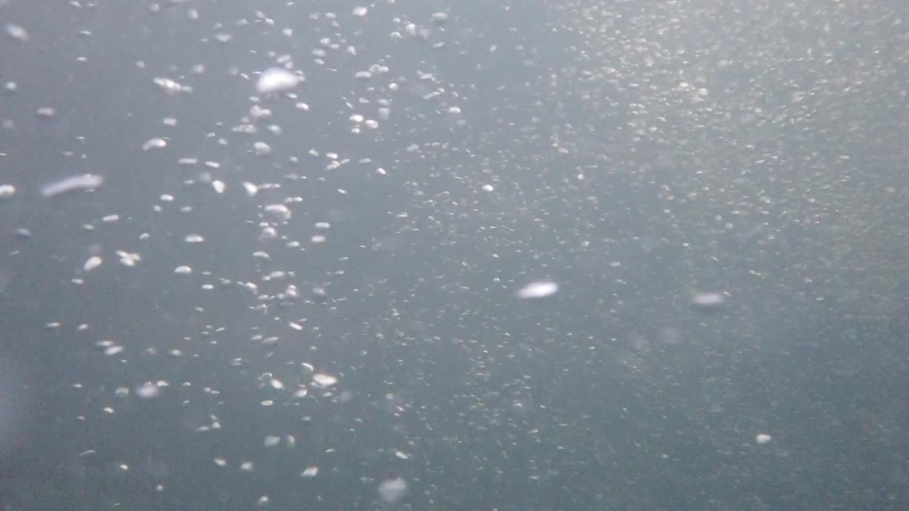 거품 순환의 고해상도로 수중 녹화