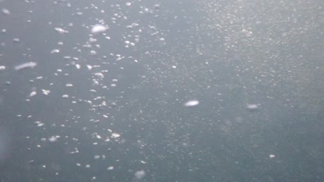 grabación submarina en alta resolución de la circulación de burbujas