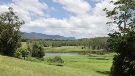 a tranquil panorama of a lakeside landscape