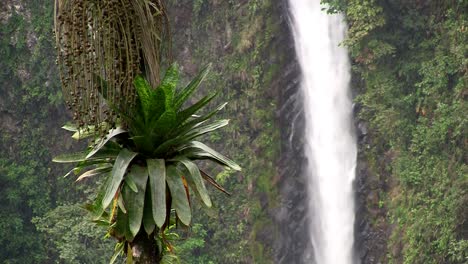 beautiful waterfall near fortuna costa rica 5