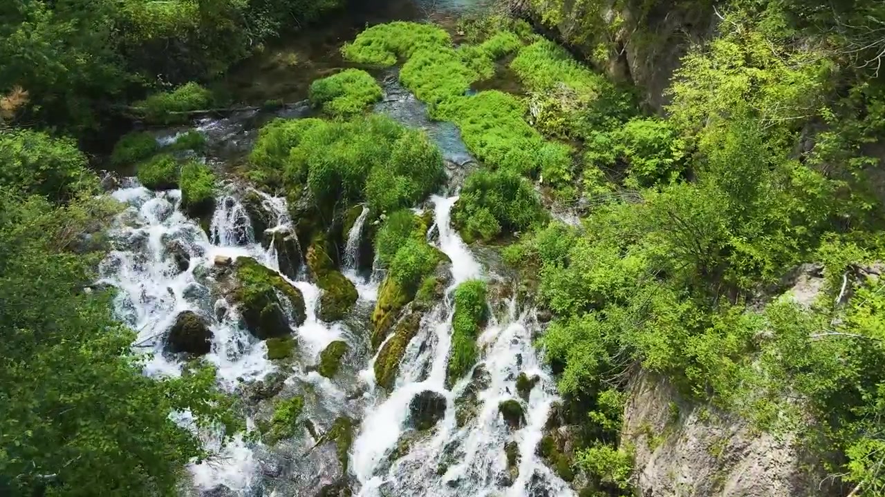 Ripresa aerea in picchiata dell'acqua impetuosa delle cascate Roughlock nel canyon di Spearfish, Dakota del Sud. Mostra bellissime foglie verdi estive e l'acqua che scorre veloce di Spearfish.