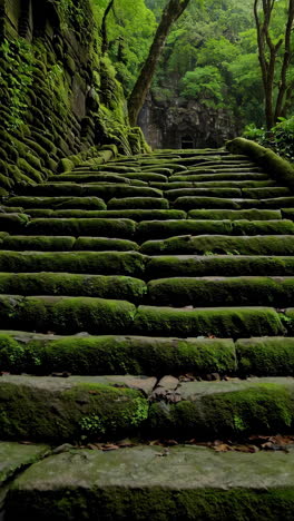 ancient mossy stone steps and temple ruins in a lush forest