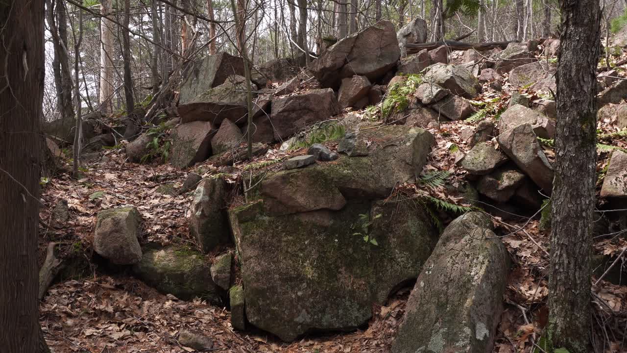 A large quantity of rocks that have been there for some time in the mountains creates a beautiful view. All of it surrounded by many tree trunks.