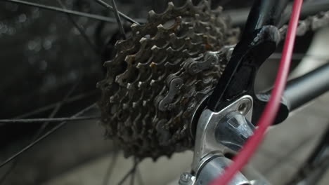 cleaning liquid sprayed onto bicycle rear cassette by bike mechanic