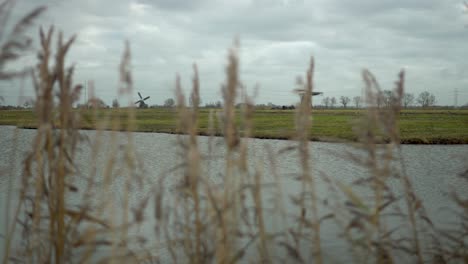 Holländische-Windmühlen-Drehen-Sich-Hinter-Dem-Schilfsumpfland-Im-Vordergrund,-Die-Aufsteigende-Kamera-Zeigt-Den-Blick