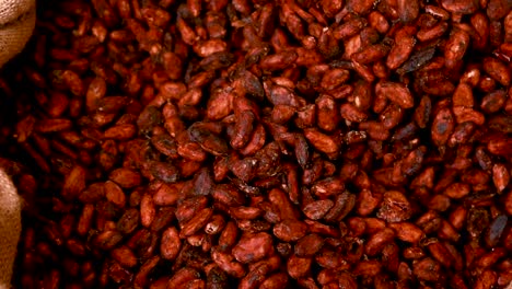 granos de cacao secos