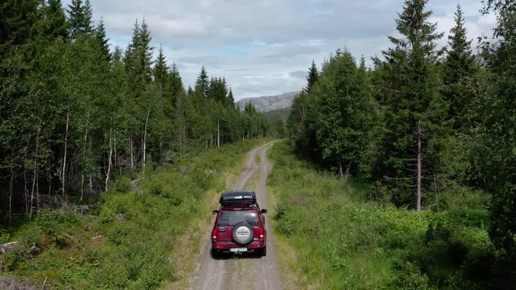 SUV con tenda da tetto che guida su strada sterrata attraverso alberi fitti a Lomsdal-Visten, Norvegia