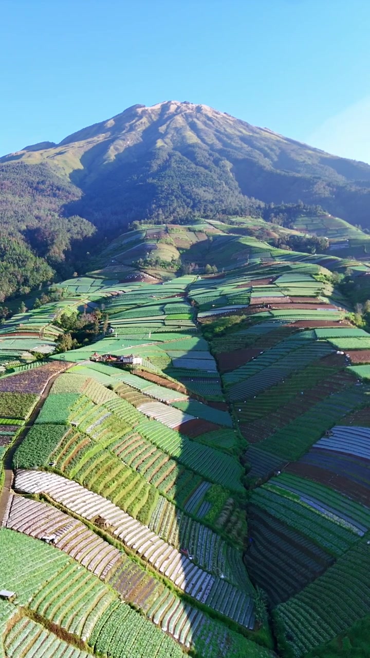 Vista aerea verticale di terrazzamenti agricoli verdi sul pendio di una montagna, paesaggio rurale, concetto di campagna indonesiana, villaggio di Sukomakmur