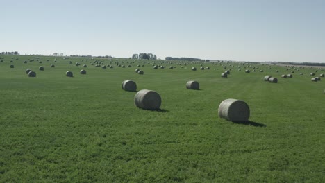 aerial close fly over circular hay bale rolls spread out almost symmetrical from each other on a lush green rolling farm field seperated by small patches of tree barrier hills in the summer 2-3