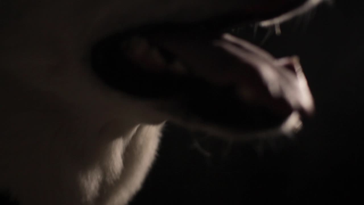 White dog anticipating something, then breathing, swallowing and listening.