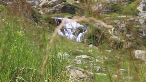 Mountain-creek-between-rocks-and-grass