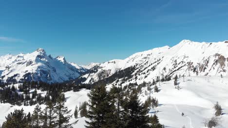 drone view flying over several mountain ranges and fir trees in warth, a small municipality in vorarlberg, austria on a clear and sunny day in 4k