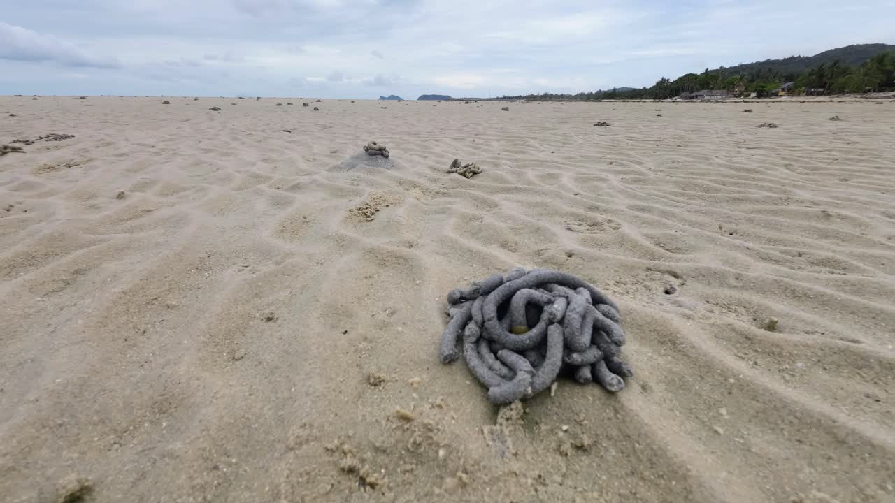 Time lapse video of marine worms leaving sand poop hills on a tropical beach in Koh Phangan Thailand during low tide, showing unique coastal patterns and natural ecosystem