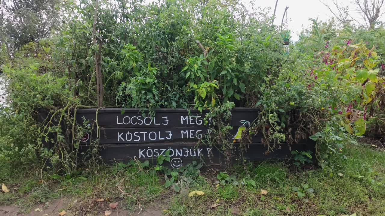Water and savor messages on a flower box full of lush vegetables on the Jóreménység-sziget community place in Abádszalók, Hungary