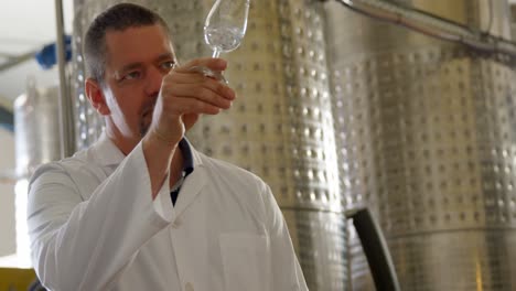 male worker examining liquor in factory 4k