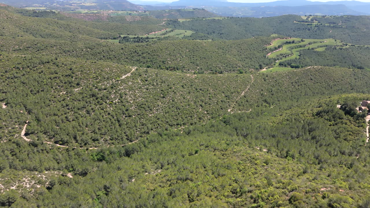 Smooth drone flight over a vast Mediterranean forest with rugged terrain, dirt trails and lush green trees under clear skies, revealing the natural beauty of a remote countryside landscape