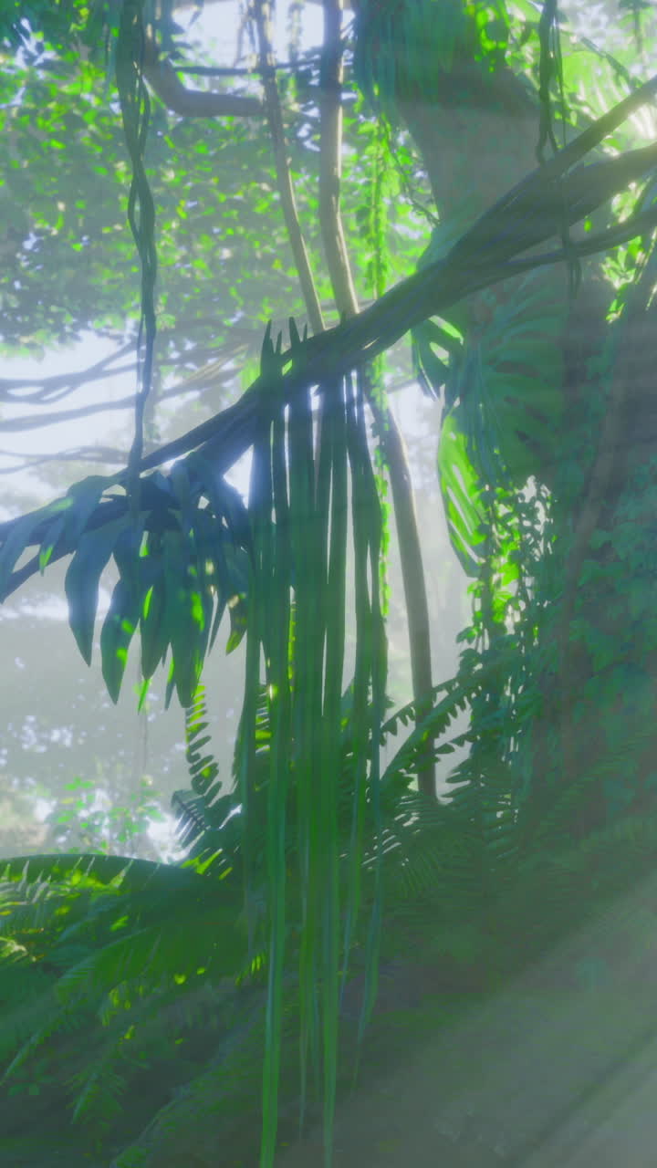 Light filters through lush jungle foliage creating a serene atmosphere