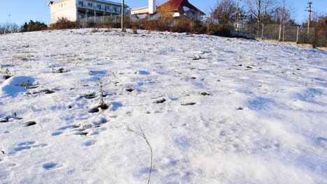 white snow on the ground and a guest house on the hill