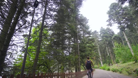 Radfahren-Zwischen-Den-Bäumen-Im-Wald.