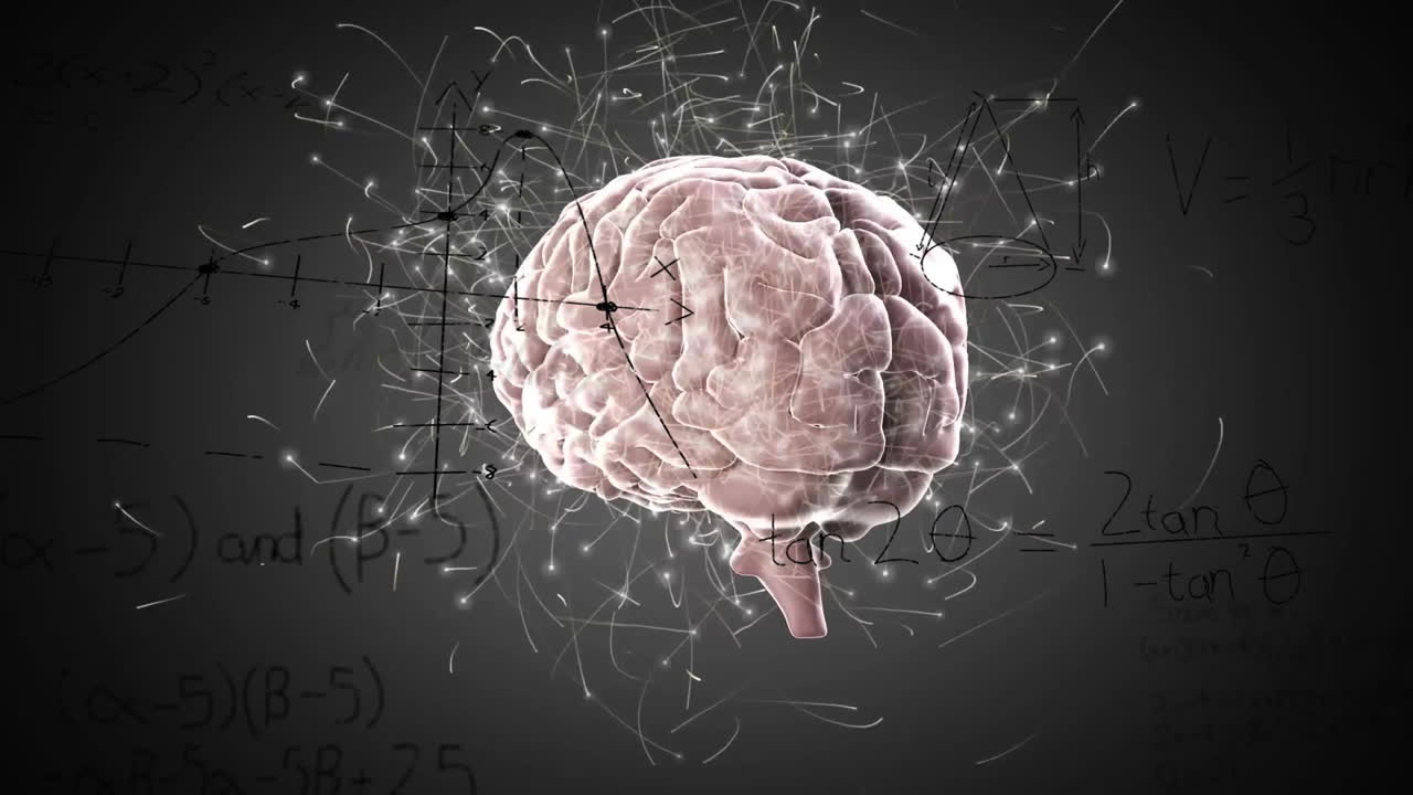 인간 뇌를 통해 수학적 데이터 처리의 애니메이션