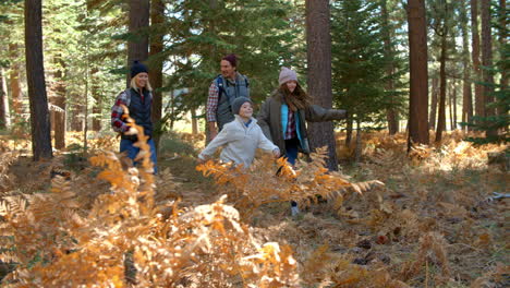 handheld shot through foliage of family walking in forest