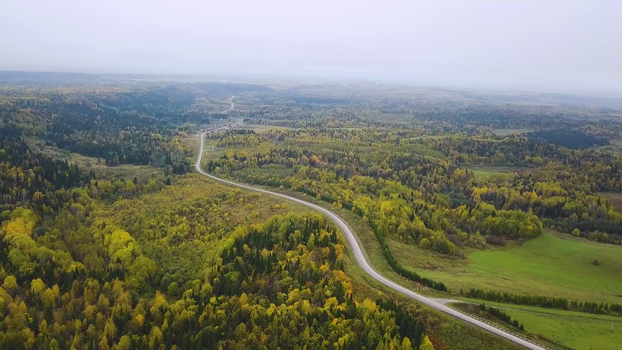 paisaje forestal de otoño con camino sinuoso