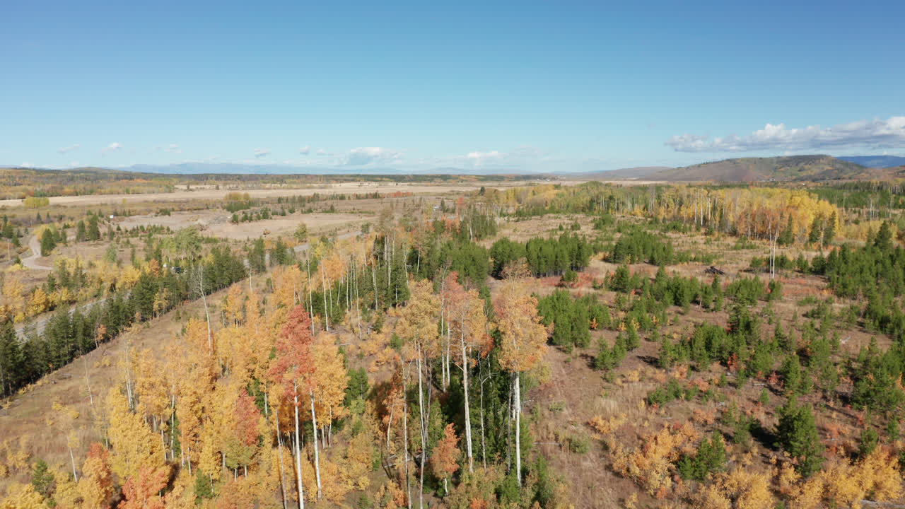 imágenes de drones del norte de colorado de colores de otoño en las montañas