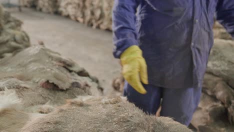 employee organizing stock of raw animal hides in a leather textiles production factory