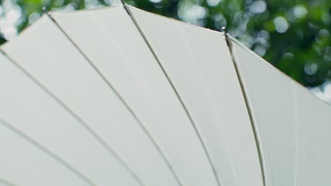 white umbrella in the rain