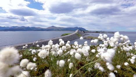 Carretera-Del-Océano-Atlántico-Construcción-Noruega-Del-Siglo