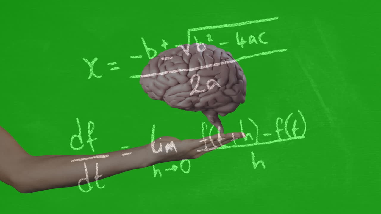 animación de cerebro giratorio y fórmulas matemáticas en fondo verde con la mano de una mujer