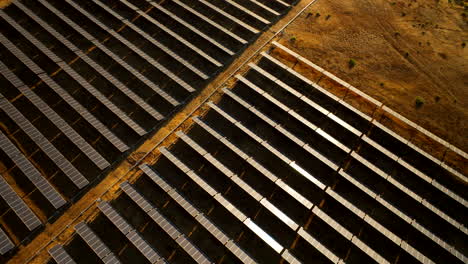 rows of pv solar panels on romeral solar park in chile, top aerial view