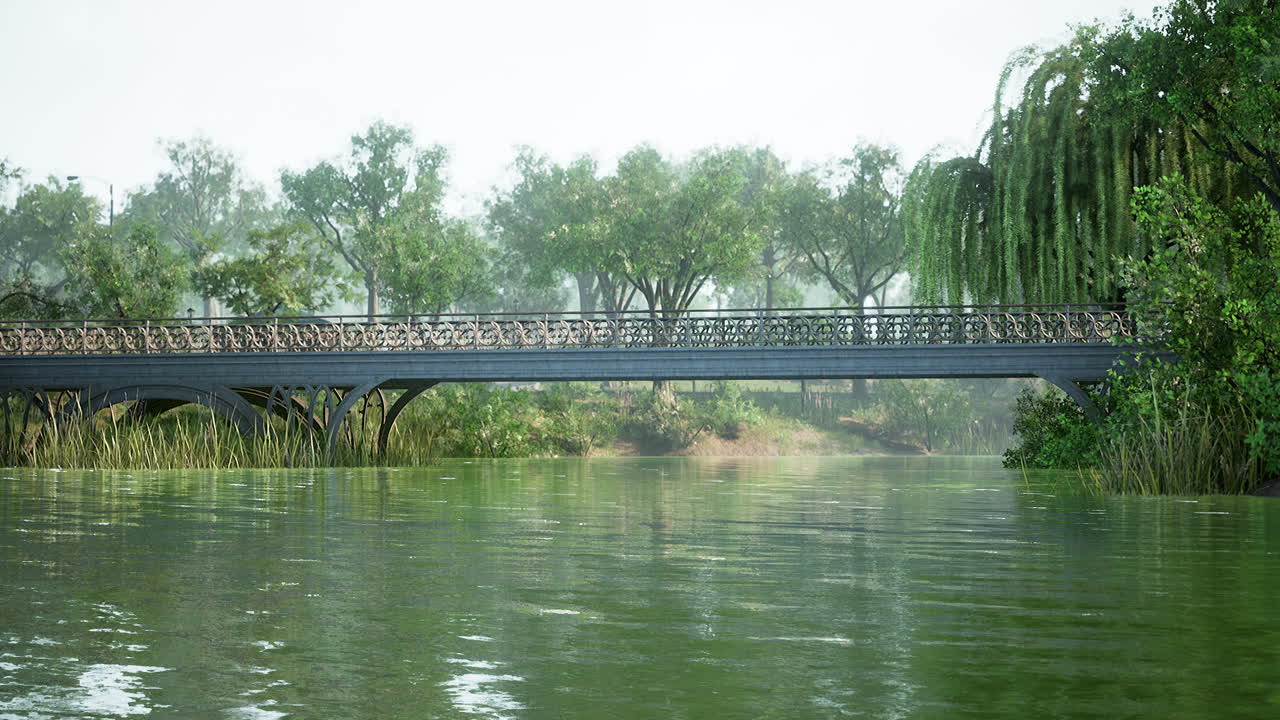 деревья в утреннем солнце возле пруда в городском парке