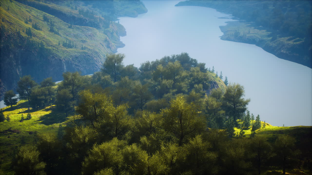 paisajes forestales aéreos europeos