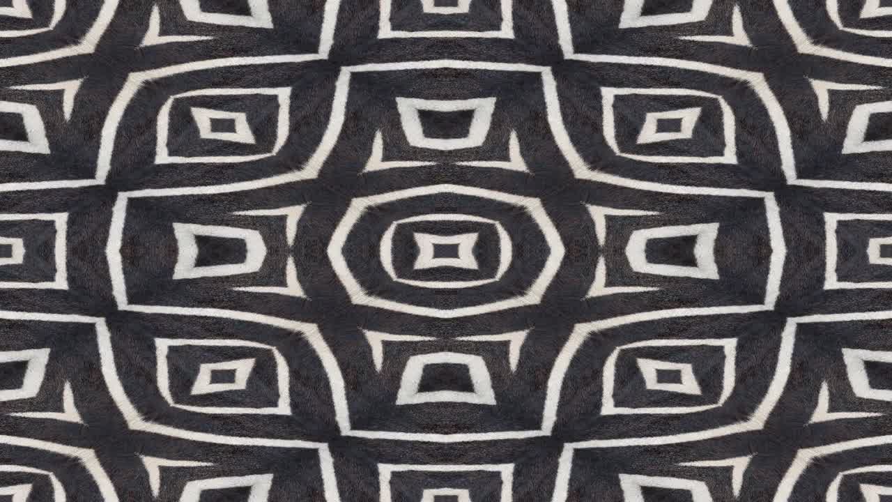 Abstract background zebra stripes  animation